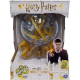 Harry Potter Perplexus Prophecy