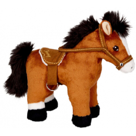 Pferd Jimmy - Pferdefreunde