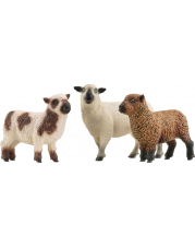 schleich® FARM WORLD 42660 Schaf