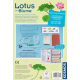 Lotusblume