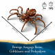 LEGO® Harry Potter™ 76434 Aragog