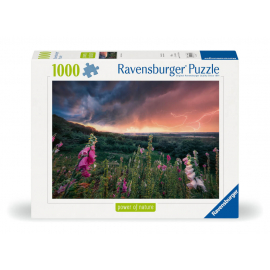 Ravensburger 12000793 Puzzle Ein