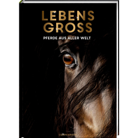 Lebensgroß  -  Pferde aus aller
