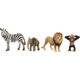 Wild Life Afrika Starter-Set