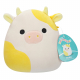 Squishmallows 19cm, sortiert