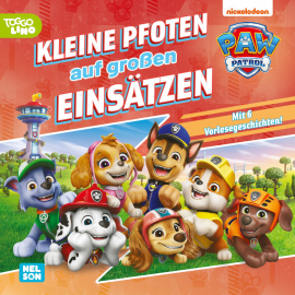PAW Patrol Geschichtenbuch: Klei