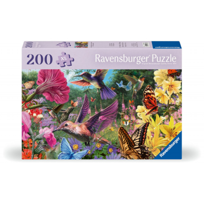Kolibris Und Schmetterlinge