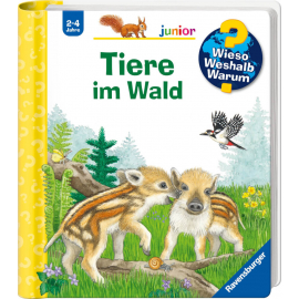 WWW junior 77 Tiere im Wald