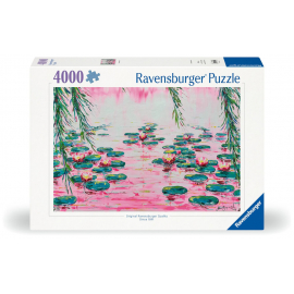 Pink Water Lilies