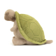 Timmy Turtle Big