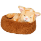Schlafende Katze Chloe Im Korb -