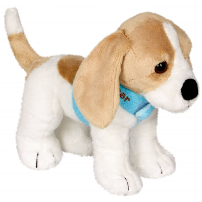 Beagle Cooper - Lustige Tierpara