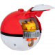 Pokémon Battle Spinner, Einzelpa