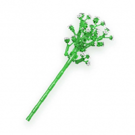 Babysbreath