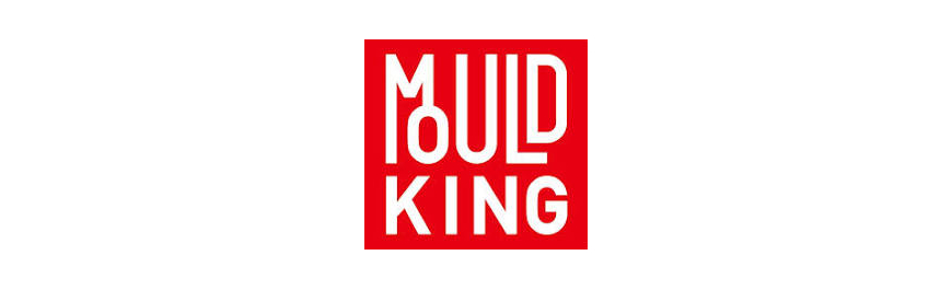 Mould King